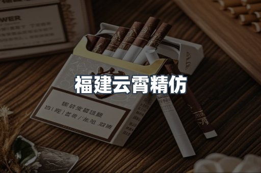 福建云霄精仿